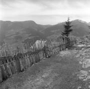 recinto (Positivo) di Foto Elisabeth Fuchs-Hauffen, Überlingen/Bodensee,Fuchs-Hauffen, Elisabeth (1968/05/01 - 1968/05/31)