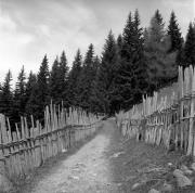 recinto (Positivo) di Foto Elisabeth Fuchs-Hauffen, Überlingen/Bodensee,Fuchs-Hauffen, Elisabeth (1968/05/01 - 1968/05/31)