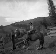 cavaliere (Positivo) di Foto Elisabeth Fuchs-Hauffen, Überlingen/Bodensee,Fuchs-Hauffen, Elisabeth (1968/05/01 - 1968/05/31)