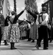 danza (Positivo) di Foto Elisabeth Fuchs-Hauffen, Überlingen/Bodensee,Fuchs-Hauffen, Elisabeth (1968/05/01 - 1968/05/31)