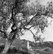 chiesa (Positivo) di Foto Elisabeth Fuchs-Hauffen, Überlingen/Bodensee,Fuchs-Hauffen, Elisabeth (1968/05/01 - 1968/05/31)