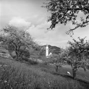 chiesa (Positivo) di Foto Elisabeth Fuchs-Hauffen, Überlingen/Bodensee,Fuchs-Hauffen, Elisabeth (1968/05/01 - 1968/05/31)