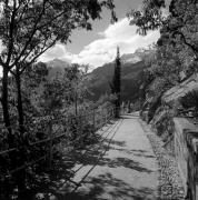 Spaziergänger (Positivo) di Foto Elisabeth Fuchs-Hauffen, Überlingen/Bodensee,Fuchs-Hauffen, Elisabeth (1968/05/01 - 1968/05/31)