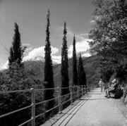 Spaziergänger (Positivo) di Foto Elisabeth Fuchs-Hauffen, Überlingen/Bodensee,Fuchs-Hauffen, Elisabeth (1968/05/01 - 1968/05/31)