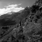 Spaziergänger (Positivo) di Foto Elisabeth Fuchs-Hauffen, Überlingen/Bodensee,Fuchs-Hauffen, Elisabeth (1968/05/01 - 1968/05/31)