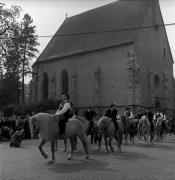 cavallo (Positivo) di Foto Elisabeth Fuchs-Hauffen, Überlingen/Bodensee,Fuchs-Hauffen, Elisabeth (1968/04/01 - 1968/04/43)