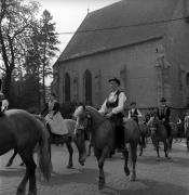 cavallo (Positivo) di Foto Elisabeth Fuchs-Hauffen, Überlingen/Bodensee,Fuchs-Hauffen, Elisabeth (1968/04/01 - 1968/04/43)