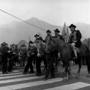 cavallo (Positivo) di Foto Elisabeth Fuchs-Hauffen, Überlingen/Bodensee,Fuchs-Hauffen, Elisabeth (1968/04/01 - 1968/04/43)