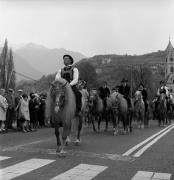 cavallo (Positivo) di Foto Elisabeth Fuchs-Hauffen, Überlingen/Bodensee,Fuchs-Hauffen, Elisabeth (1968/04/01 - 1968/04/43)