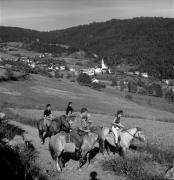 cavaliere (Positivo) di Foto Elisabeth Fuchs-Hauffen, Überlingen/Bodensee,Fuchs-Hauffen, Elisabeth (1968/06/01 - 1968/06/63)