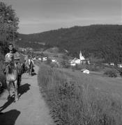 cavaliere (Positivo) di Foto Elisabeth Fuchs-Hauffen, Überlingen/Bodensee,Fuchs-Hauffen, Elisabeth (1968/06/01 - 1968/06/63)