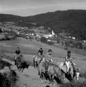 cavaliere (Positivo) di Foto Elisabeth Fuchs-Hauffen, Überlingen/Bodensee,Fuchs-Hauffen, Elisabeth (1968/06/01 - 1968/06/63)