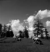 cavaliere (Positivo) di Foto Elisabeth Fuchs-Hauffen, Überlingen/Bodensee,Fuchs-Hauffen, Elisabeth (1968/06/01 - 1968/06/63)