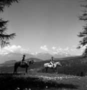 cavaliere (Positivo) di Foto Elisabeth Fuchs-Hauffen, Überlingen/Bodensee,Fuchs-Hauffen, Elisabeth (1968/06/01 - 1968/06/63)