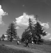 Wanderer/Ausflügler (Positivo) di Foto Elisabeth Fuchs-Hauffen, Überlingen/Bodensee,Fuchs-Hauffen, Elisabeth (1968/06/01 - 1968/06/63)