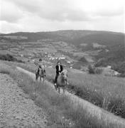 cavaliere (Positivo) di Foto Elisabeth Fuchs-Hauffen, Überlingen/Bodensee,Fuchs-Hauffen, Elisabeth (1968/06/01 - 1968/06/63)