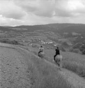 cavaliere (Positivo) di Foto Elisabeth Fuchs-Hauffen, Überlingen/Bodensee,Fuchs-Hauffen, Elisabeth (1968/06/01 - 1968/06/63)