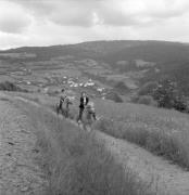 cavaliere (Positivo) di Foto Elisabeth Fuchs-Hauffen, Überlingen/Bodensee,Fuchs-Hauffen, Elisabeth (1968/06/01 - 1968/06/63)