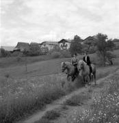 cavaliere (Positivo) di Foto Elisabeth Fuchs-Hauffen, Überlingen/Bodensee,Fuchs-Hauffen, Elisabeth (1968/06/01 - 1968/06/63)