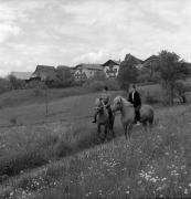 cavaliere (Positivo) di Foto Elisabeth Fuchs-Hauffen, Überlingen/Bodensee,Fuchs-Hauffen, Elisabeth (1968/06/01 - 1968/06/63)