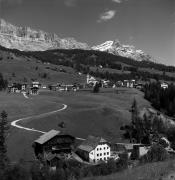 bosco (Positivo) di Foto Elisabeth Fuchs-Hauffen, Überlingen/Bodensee,Fuchs-Hauffen, Elisabeth (1970/07/01 - 1970/07/31)