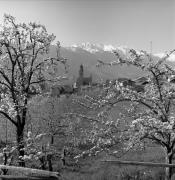 Kirche Partschins Pfarrkirche St. Peter und Paul (Positivo) di Foto Elisabeth Fuchs-Hauffen, Überlingen/Bodensee,Fuchs-Hauffen, Elisabeth (1968/04/01 - 1968/04/43)