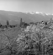 Kirche Partschins Pfarrkirche St. Peter und Paul (Positivo) di Foto Elisabeth Fuchs-Hauffen, Überlingen/Bodensee,Fuchs-Hauffen, Elisabeth (1968/04/01 - 1968/04/43)