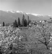 Kirche Partschins Pfarrkirche St. Peter und Paul (Positivo) di Foto Elisabeth Fuchs-Hauffen, Überlingen/Bodensee,Fuchs-Hauffen, Elisabeth (1968/04/01 - 1968/04/43)