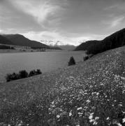 lago (Positivo) di Foto Elisabeth Fuchs-Hauffen, Überlingen/Bodensee,Fuchs-Hauffen, Elisabeth (1968/05/01 - 1968/05/31)