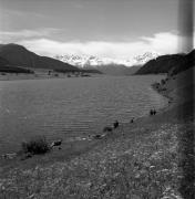 lago (Positivo) di Foto Elisabeth Fuchs-Hauffen, Überlingen/Bodensee,Fuchs-Hauffen, Elisabeth (1968/05/01 - 1968/05/31)