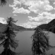 lago (Positivo) di Foto Elisabeth Fuchs-Hauffen, Überlingen/Bodensee,Fuchs-Hauffen, Elisabeth (1968/05/01 - 1968/05/31)