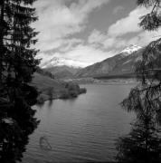 lago (Positivo) di Foto Elisabeth Fuchs-Hauffen, Überlingen/Bodensee,Fuchs-Hauffen, Elisabeth (1968/05/01 - 1968/05/31)