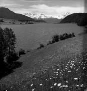 lago (Positivo) di Foto Elisabeth Fuchs-Hauffen, Überlingen/Bodensee,Fuchs-Hauffen, Elisabeth (1968/05/01 - 1968/05/31)