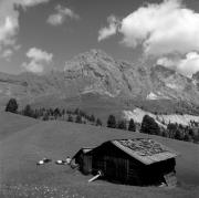 uomo (Positivo) di Foto Elisabeth Fuchs-Hauffen, Überlingen/Bodensee,Fuchs-Hauffen, Elisabeth (1968/07/01 - 1968/07/31)