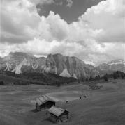 uomo (Positivo) di Foto Elisabeth Fuchs-Hauffen, Überlingen/Bodensee,Fuchs-Hauffen, Elisabeth (1968/07/01 - 1968/07/31)