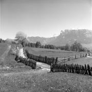 recinto (Positivo) di Foto Elisabeth Fuchs-Hauffen, Überlingen/Bodensee,Fuchs-Hauffen, Elisabeth (1968/06/01 - 1968/06/63)