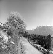 recinto (Positivo) di Foto Elisabeth Fuchs-Hauffen, Überlingen/Bodensee,Fuchs-Hauffen, Elisabeth (1968/06/01 - 1968/06/63)