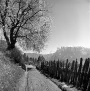 recinto (Positivo) di Foto Elisabeth Fuchs-Hauffen, Überlingen/Bodensee,Fuchs-Hauffen, Elisabeth (1968/06/01 - 1968/06/63)