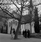 frutteto (Positivo) di Foto Elisabeth Fuchs-Hauffen, Überlingen/Bodensee,Fuchs-Hauffen, Elisabeth (1968/04/01 - 1968/04/43)