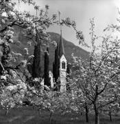 frutteto (Positivo) di Foto Elisabeth Fuchs-Hauffen, Überlingen/Bodensee,Fuchs-Hauffen, Elisabeth (1968/04/01 - 1968/04/43)