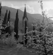 frutteto (Positivo) di Foto Elisabeth Fuchs-Hauffen, Überlingen/Bodensee,Fuchs-Hauffen, Elisabeth (1968/04/01 - 1968/04/43)