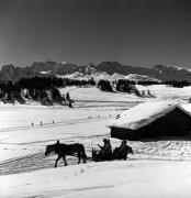 Pferdeschlitten (Positivo) di Foto Elisabeth Fuchs-Hauffen, Überlingen/Bodensee,Fuchs-Hauffen, Elisabeth (1979/02/01 - 1979/02/28)