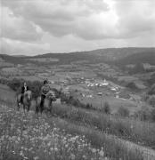 cavaliere (Positivo) di Foto Elisabeth Fuchs-Hauffen, Überlingen/Bodensee,Fuchs-Hauffen, Elisabeth (1968/06/01 - 1968/06/63)