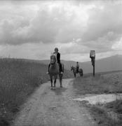 cavaliere (Positivo) di Foto Elisabeth Fuchs-Hauffen, Überlingen/Bodensee,Fuchs-Hauffen, Elisabeth (1968/06/01 - 1968/06/63)