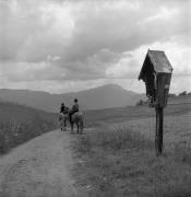 cavaliere (Positivo) di Foto Elisabeth Fuchs-Hauffen, Überlingen/Bodensee,Fuchs-Hauffen, Elisabeth (1968/06/01 - 1968/06/63)