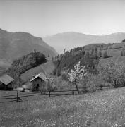 Seilbahn Bozen-Ritten (Positivo) di Foto Elisabeth Fuchs-Hauffen, Überlingen/Bodensee,Fuchs-Hauffen, Elisabeth (1968/06/01 - 1968/06/63)