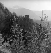 chiesa (Positivo) di Foto Elisabeth Fuchs-Hauffen, Überlingen/Bodensee,Fuchs-Hauffen, Elisabeth (1968/05/01 - 1968/05/31)