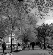 uomo (Positivo) di Foto Elisabeth Fuchs-Hauffen, Überlingen/Bodensee,Fuchs-Hauffen, Elisabeth (1968/05/01 - 1968/05/31)