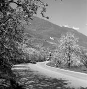 Automobil 1950 - 1999 (Positivo) di Foto Elisabeth Fuchs-Hauffen, Überlingen/Bodensee,Fuchs-Hauffen, Elisabeth (1968/04/01 - 1968/04/43)