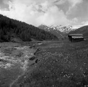 casa (Positivo) di Foto Elisabeth Fuchs-Hauffen, Überlingen/Bodensee,Fuchs-Hauffen, Elisabeth (1968/06/01 - 1968/06/63)